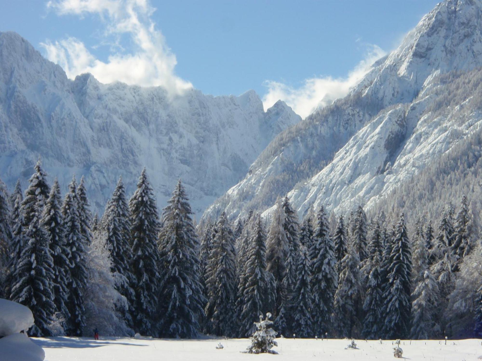 Tempfer 2 Apartments & Rooms With New Wellness Kranjska Gora Eksteriør billede