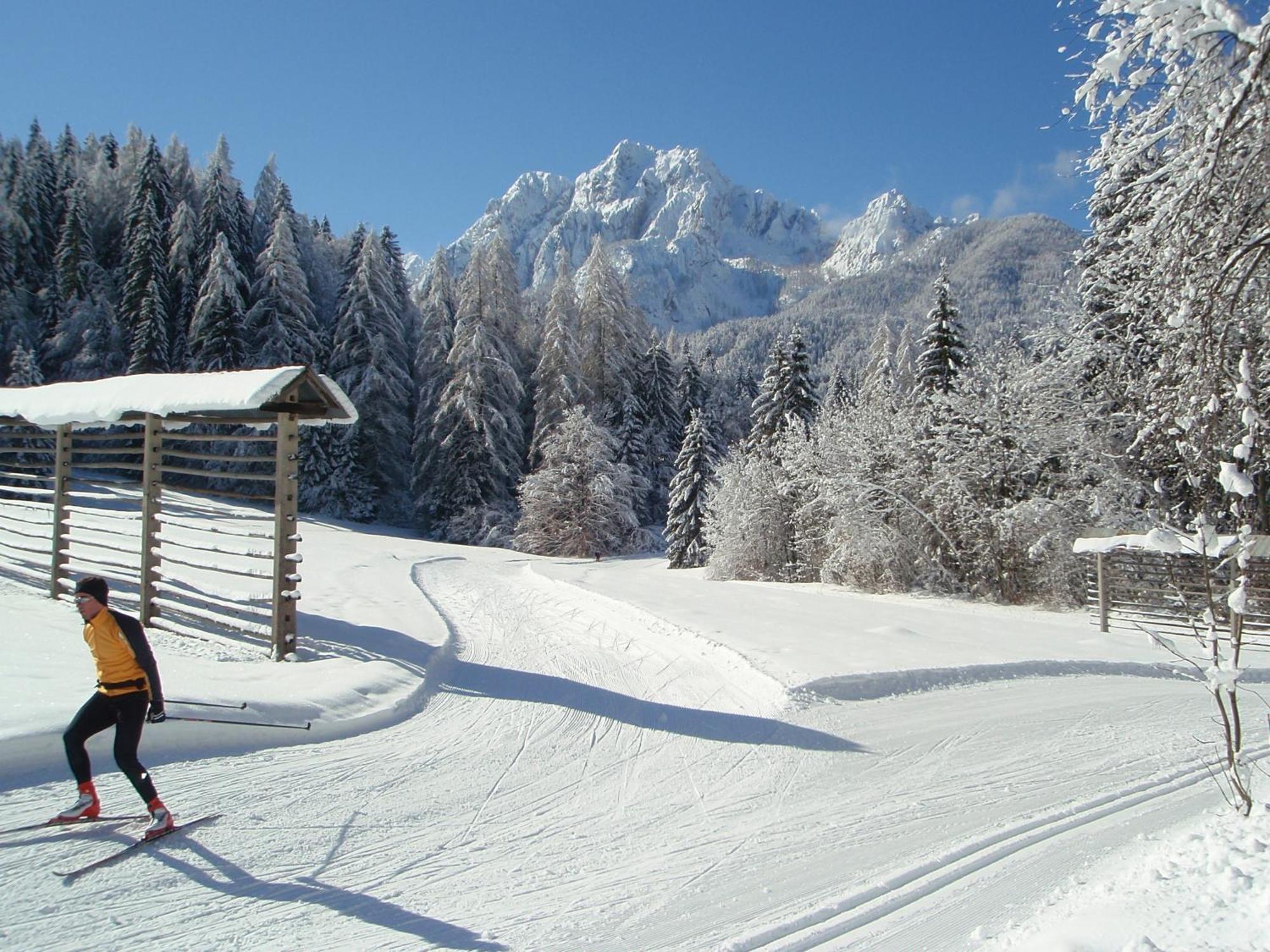 Tempfer 2 Apartments & Rooms With New Wellness Kranjska Gora Eksteriør billede