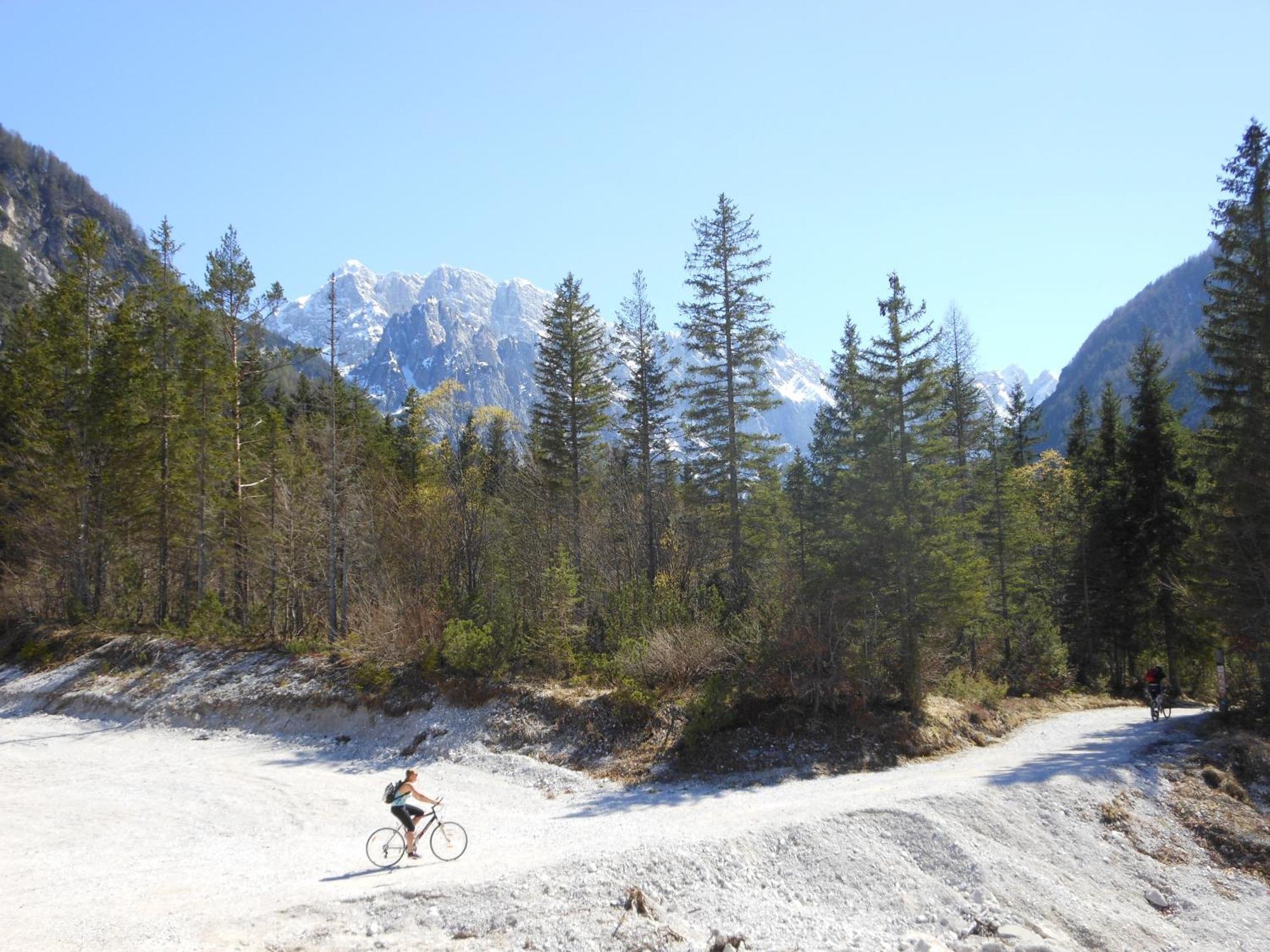 Tempfer 2 Apartments & Rooms With New Wellness Kranjska Gora Eksteriør billede