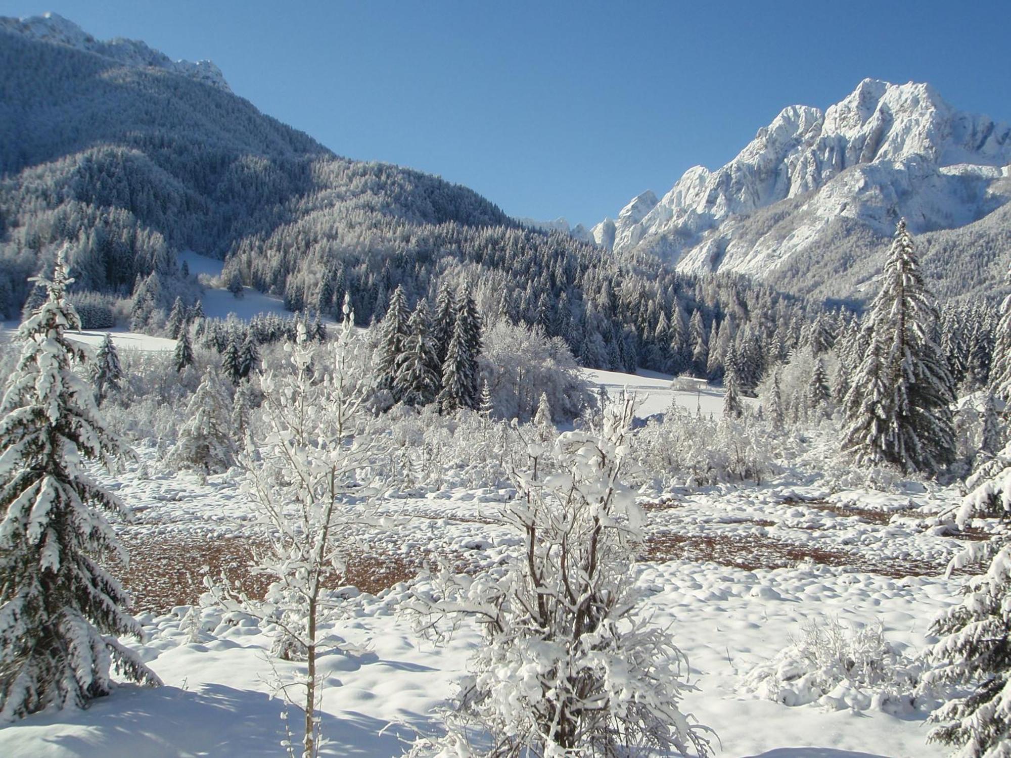 Tempfer 2 Apartments & Rooms With New Wellness Kranjska Gora Eksteriør billede