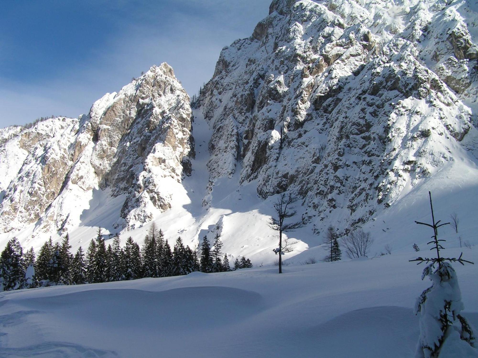 Tempfer 2 Apartments & Rooms With New Wellness Kranjska Gora Eksteriør billede